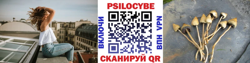 хочу наркоту  Владикавказ  Псилоцибиновые грибы Cubensis 